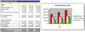 Tropical Fish Store Business Plan - MS Word/Excel